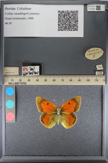 Media type: image;   Entomology 193880
